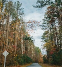 revolutionary virginia the road to independence a document pdf